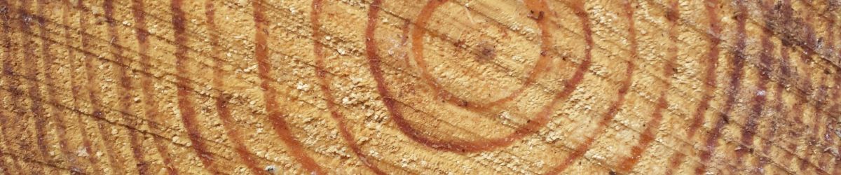 Cross Section of Log